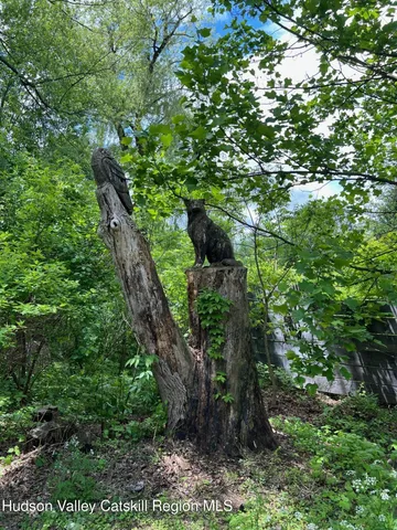 a plant with lots of trees