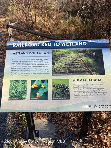 a view of a yard with large trees
