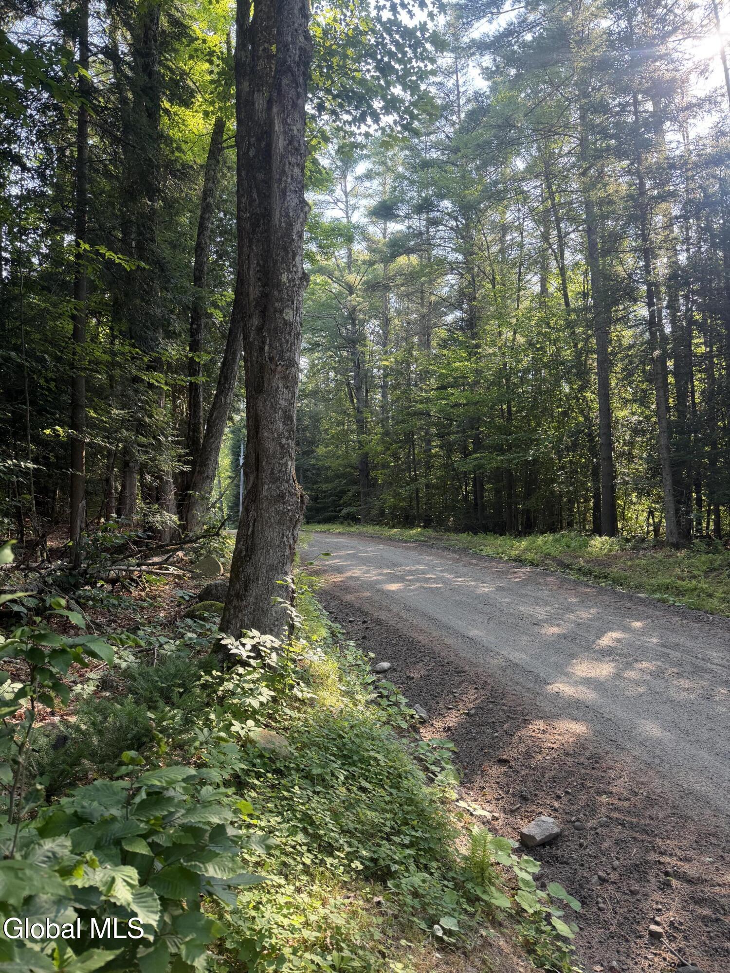 L4 Jim Younes Road Brant Lake, NY 12815 - Photo 6 of 6 IMG_2650