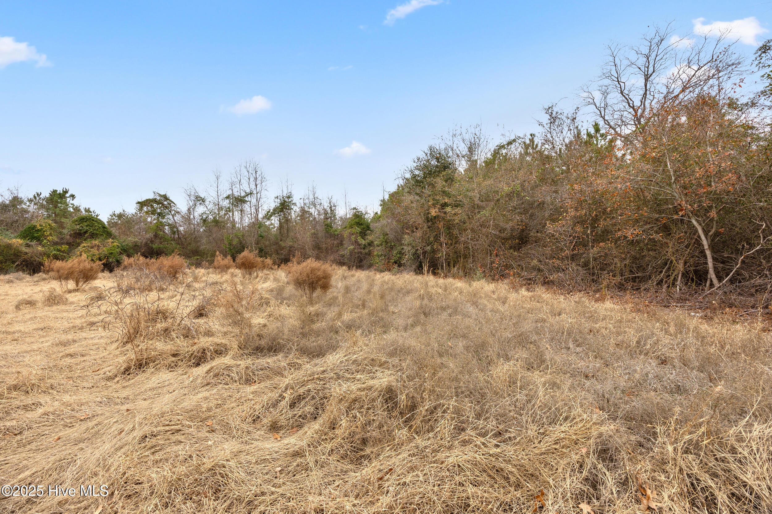 0 Gaddy's Mill Road Maxton, NC 28364 - Photo 17 of 24 17