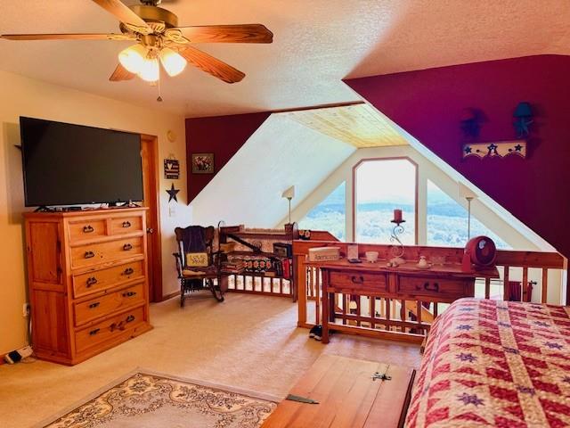 810 Shuler Mountain Road Murphy, NC 28906 - Photo 33 of 76 Gallery Image 33