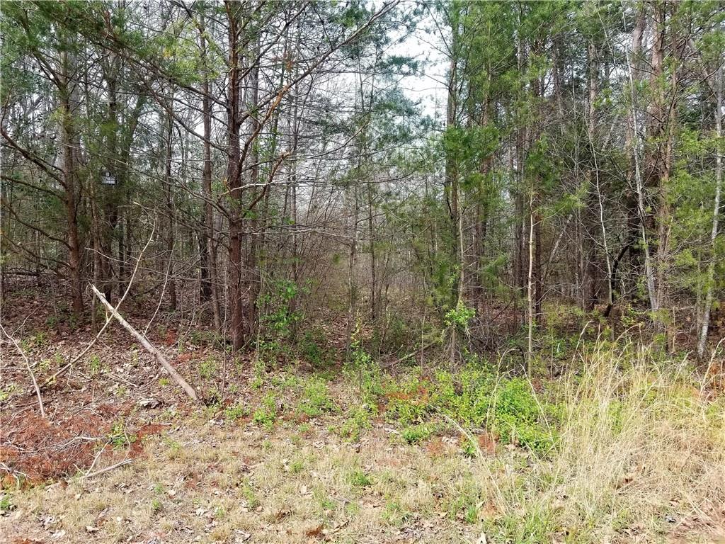 159 Valley Springs Road, Unit 43 Olin, NC 28660 - Photo 3 of 7