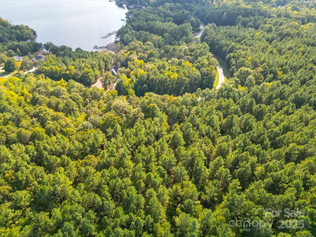a view of a bunch of plants and trees