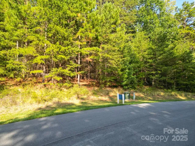 a view of yard with large trees