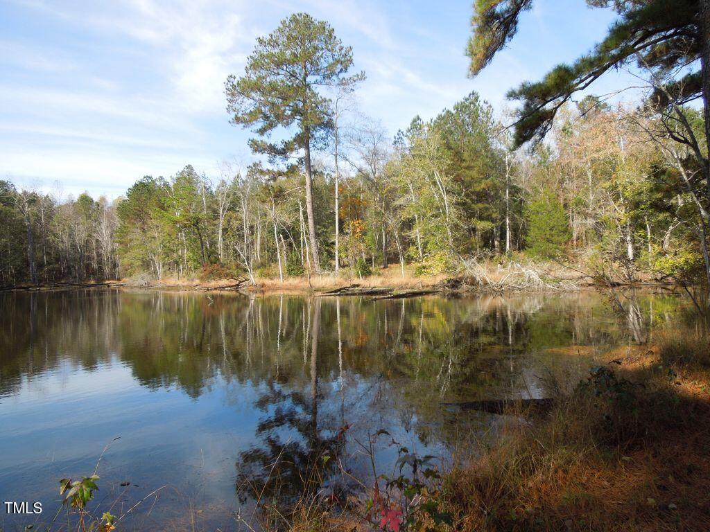 Tbd Cook Road Carthage, NC 28327 - Photo 21 of 40 DSCN0110
