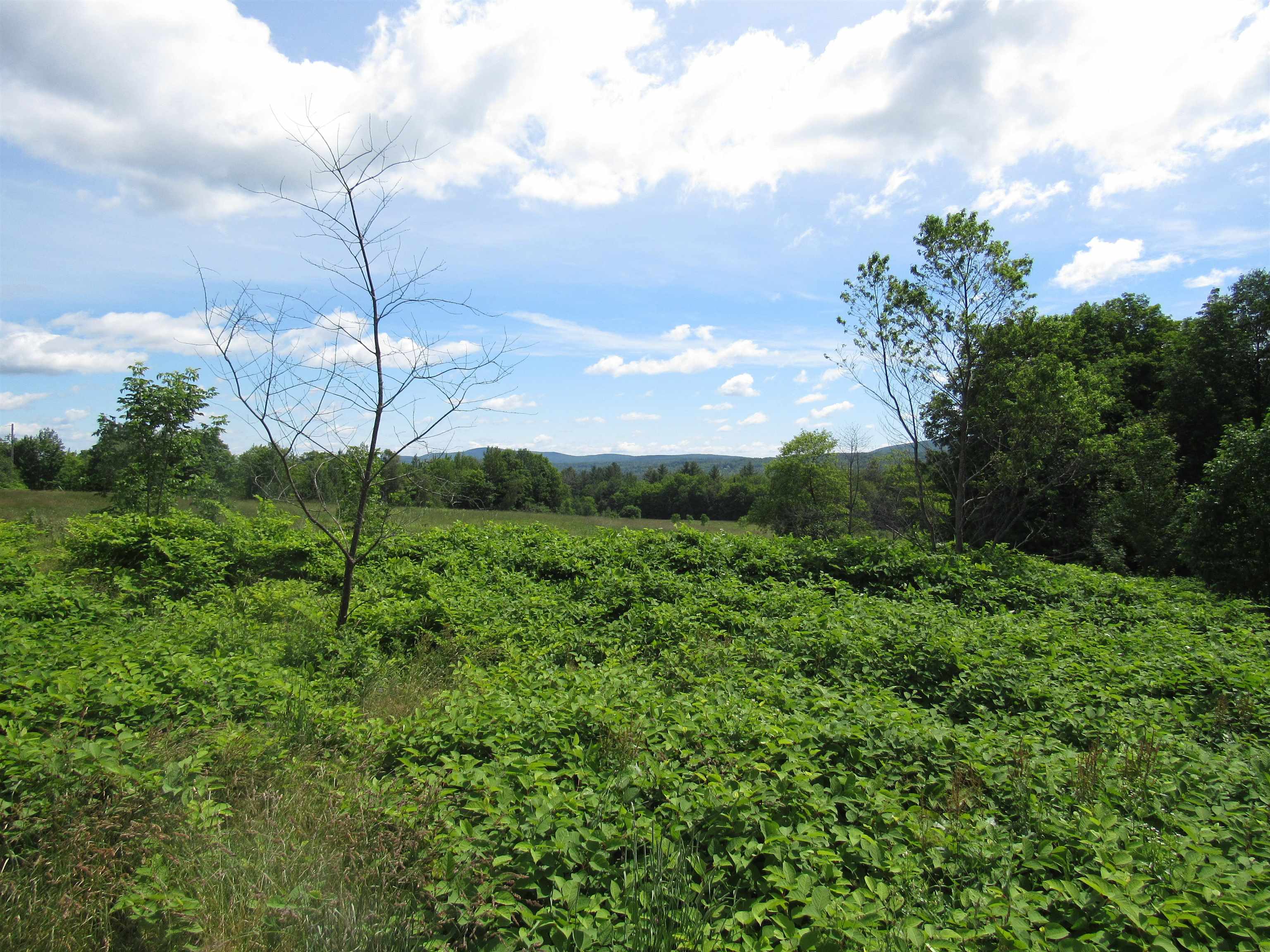 731 Mines Road Lowell, VT 05847 - Photo 8 of 12