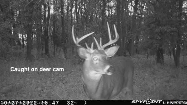 12 NORTH Arnold Road Brooklyn, MI 49230 - Photo 9 of 14