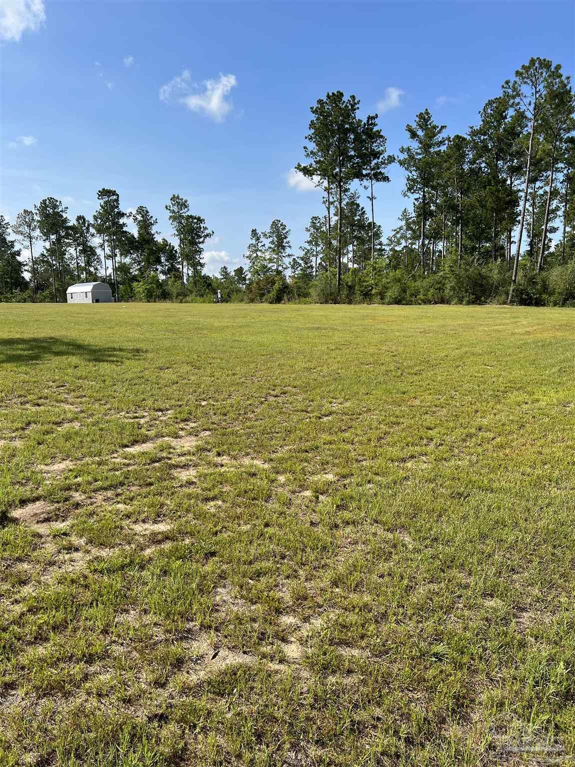 7418 Buffalo Ridge Road Pace, FL 32571 - Photo 4 of 10