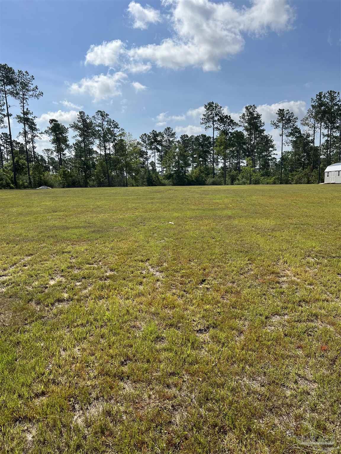 7418 Buffalo Ridge Road Pace, FL 32571 - Photo 5 of 10