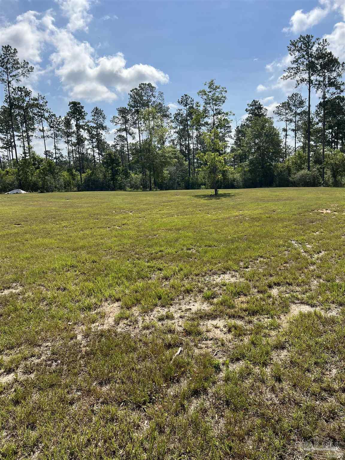 7418 Buffalo Ridge Road Pace, FL 32571 - Photo 7 of 10