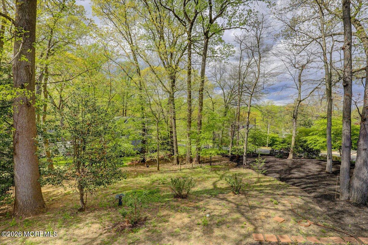 11 Galloping Hill Road Holmdel, NJ 07733 - Photo 56 of 66 Natural Backyard