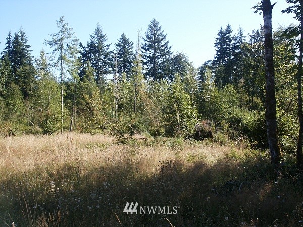 202 Wiley Road Silverlake, WA 98645 - Photo 1 of 1 Gallery Image 1
