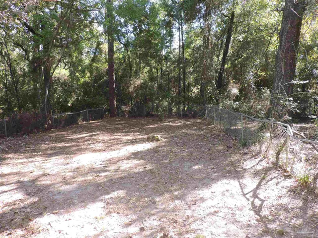 a view of a tree in the middle of a yard