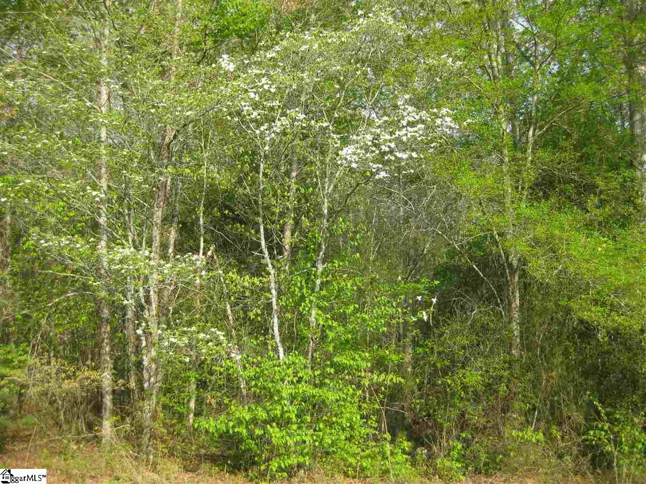 690 Freeman Bridge Road Marietta, SC 29661 - Photo 2 of 2