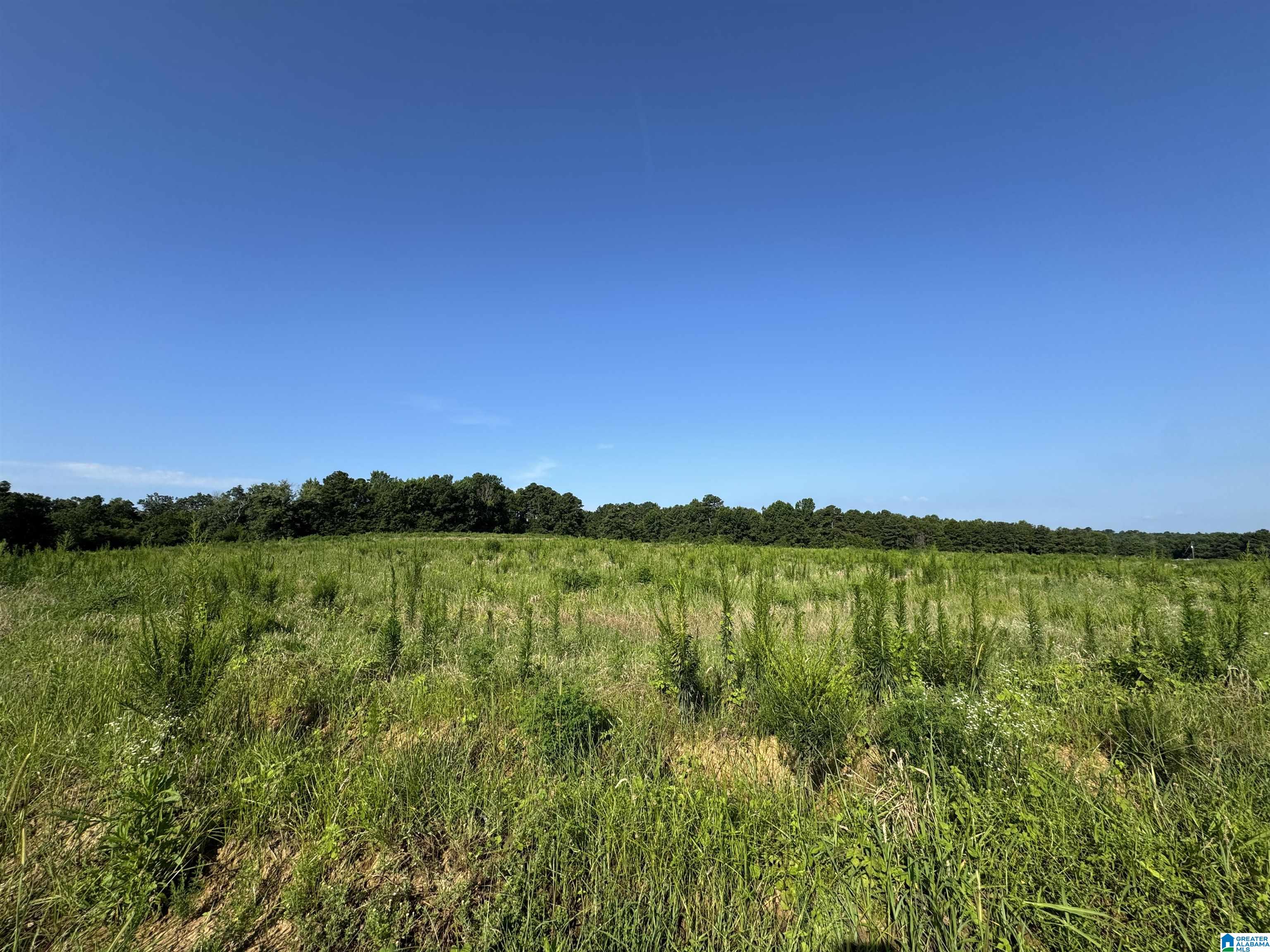0 County Highway 27, Unit 47 Springville, AL 35146 - Photo 19 of 53