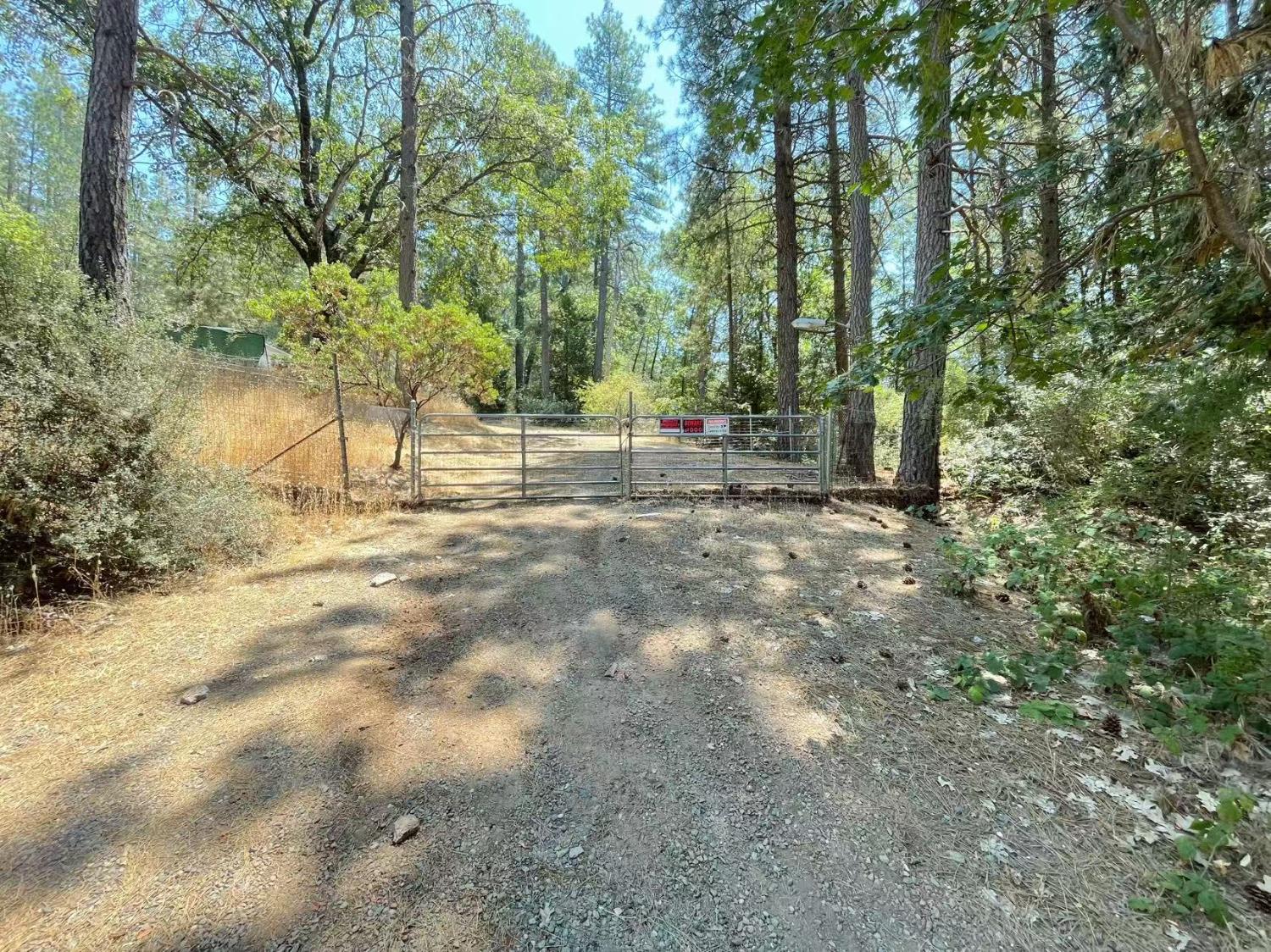 112 Renegade Road Oroville, CA 95966 - Photo 32 of 38 a view of a tree with a yard