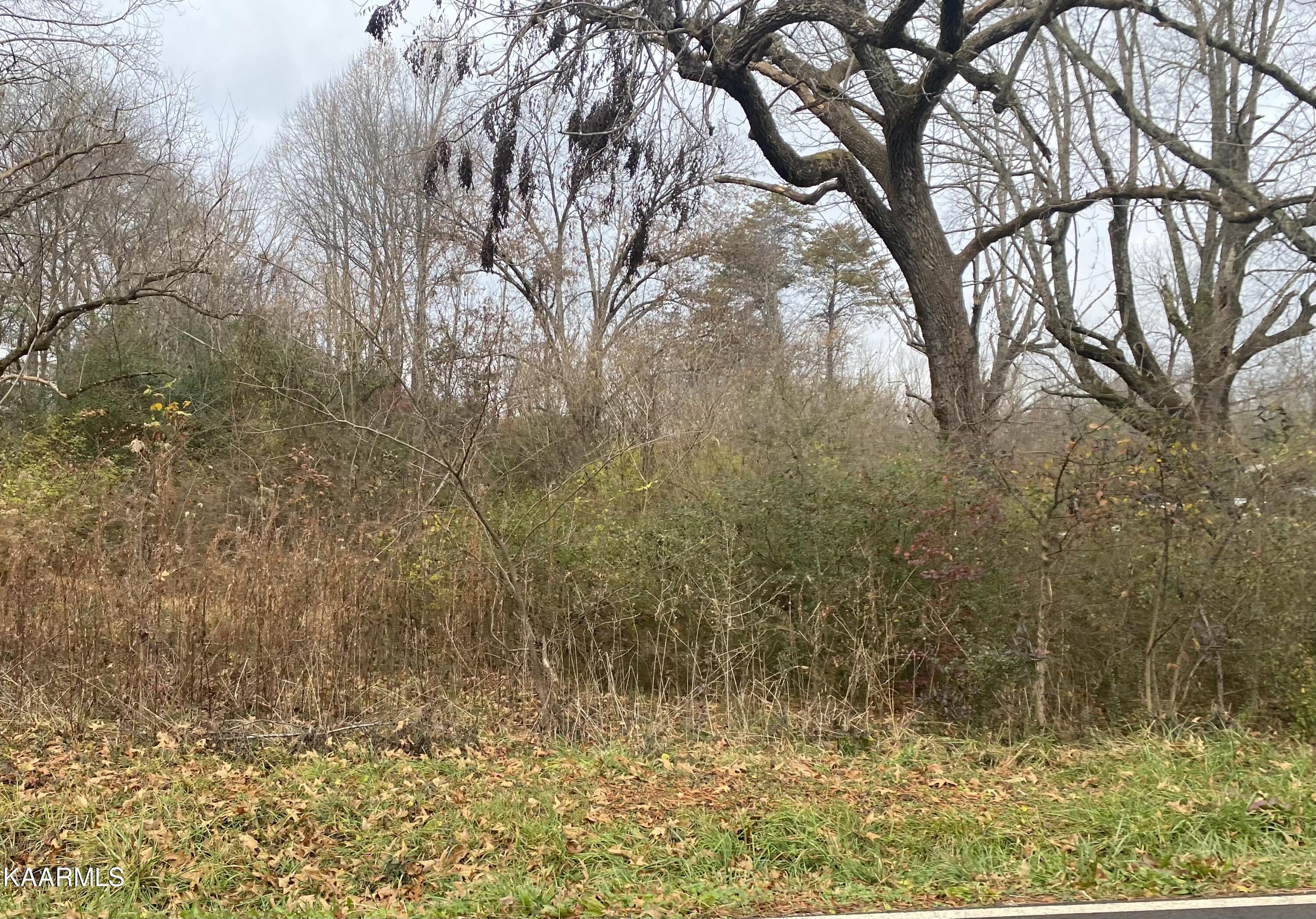 1541 Blockhouse Road Maryville, TN 37803 - Photo 1 of 1 05FC7E83-64F2-4E5F-84BC-FB9F3445BF1D