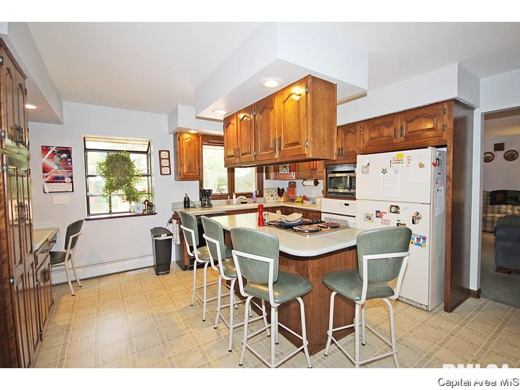 33383 Seifert Road Virden, IL 62690 - Photo 11 of 29