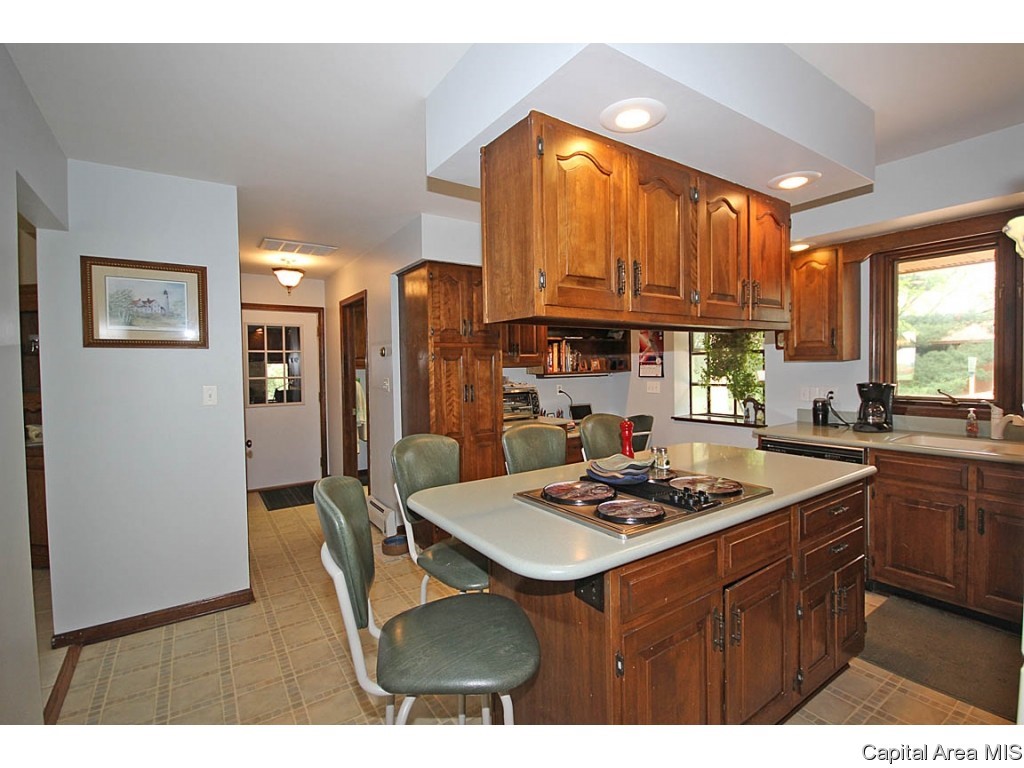 33383 Seifert Road Virden, IL 62690 - Photo 12 of 29