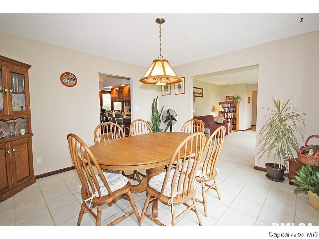 33383 Seifert Road Virden, IL 62690 - Photo 14 of 29