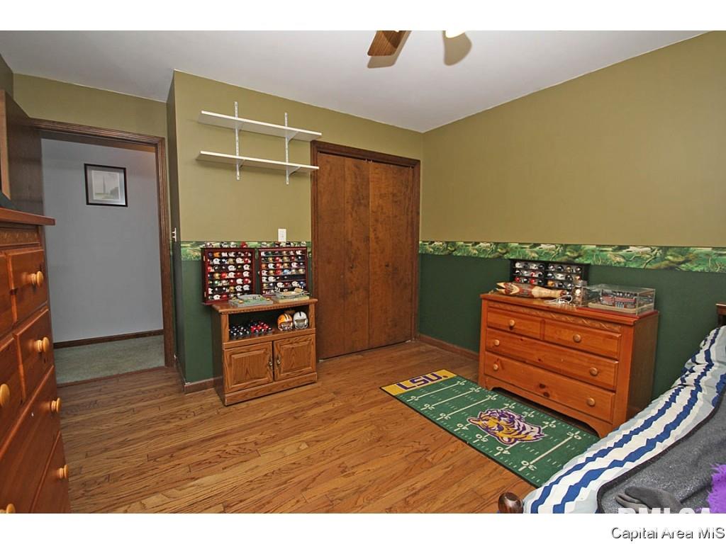 33383 Seifert Road Virden, IL 62690 - Photo 23 of 29