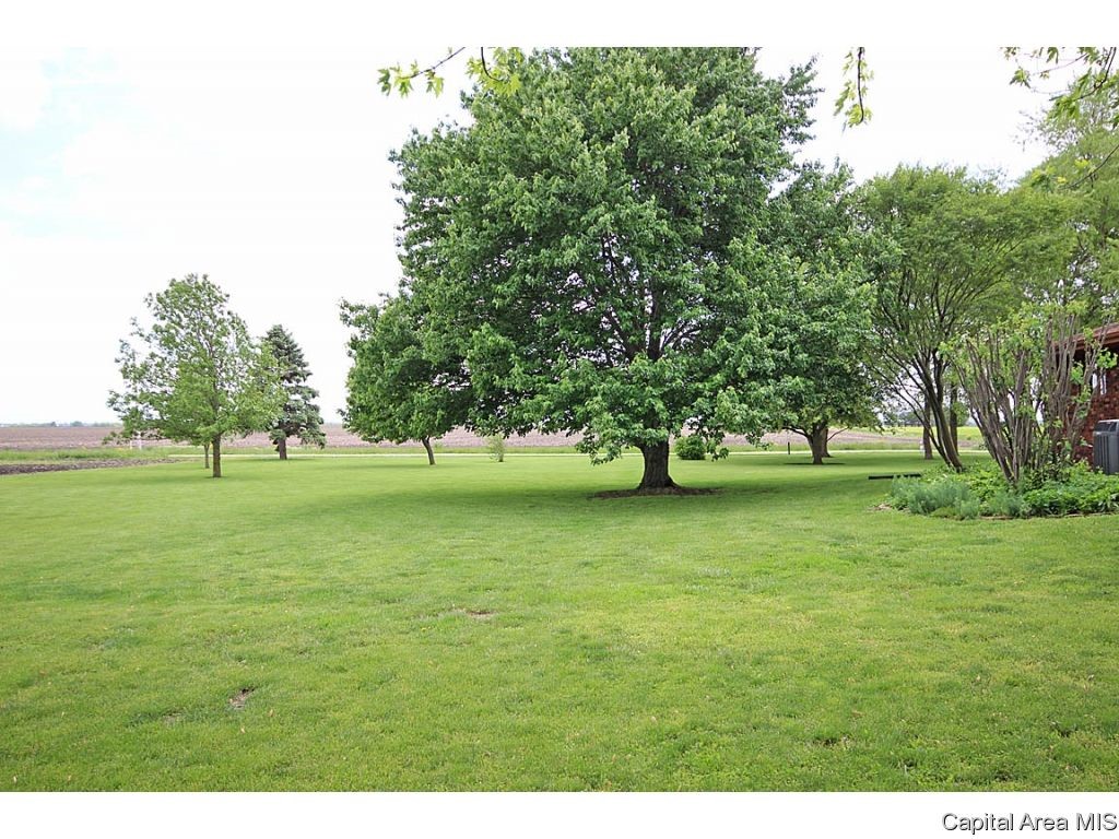 33383 Seifert Road Virden, IL 62690 - Photo 28 of 29