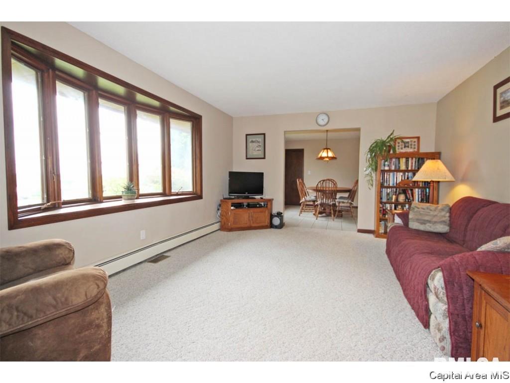 33383 Seifert Road Virden, IL 62690 - Photo 3 of 29