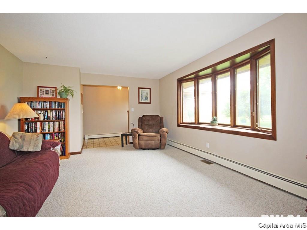 33383 Seifert Road Virden, IL 62690 - Photo 4 of 29