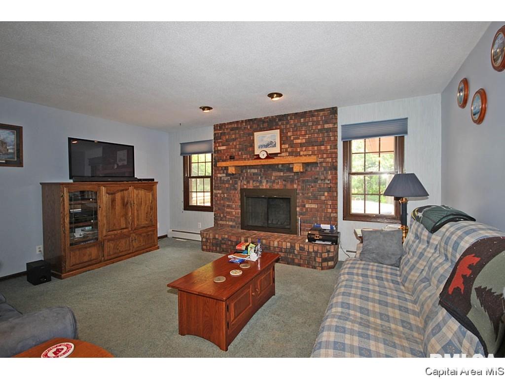 33383 Seifert Road Virden, IL 62690 - Photo 5 of 29