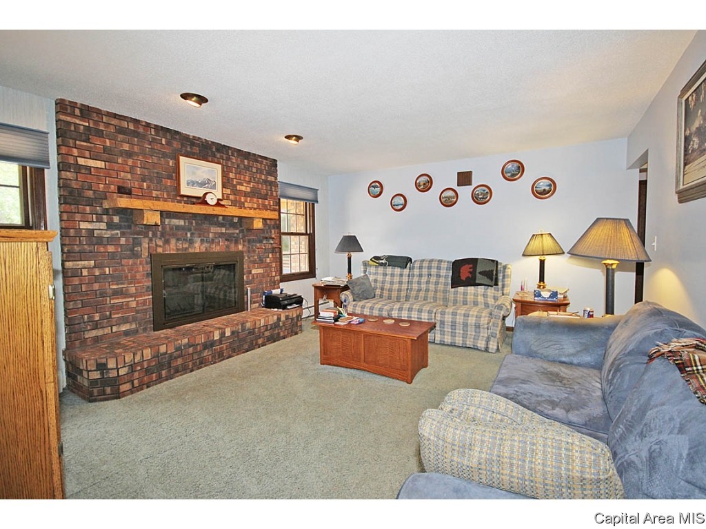 33383 Seifert Road Virden, IL 62690 - Photo 7 of 29