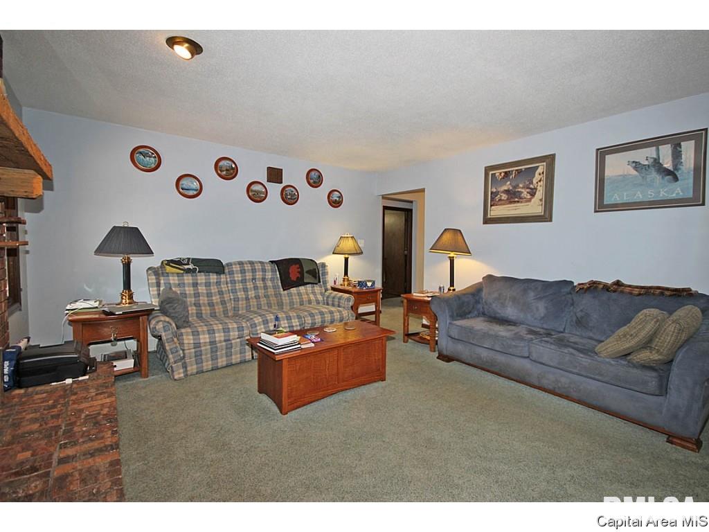 33383 Seifert Road Virden, IL 62690 - Photo 8 of 29