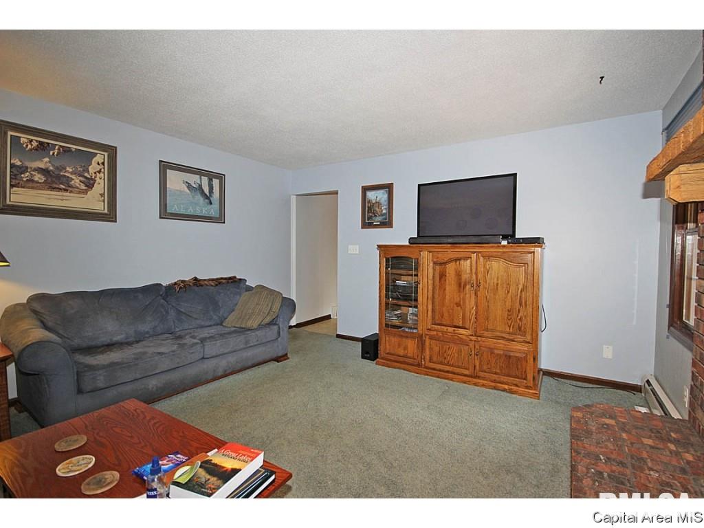 33383 Seifert Road Virden, IL 62690 - Photo 9 of 29