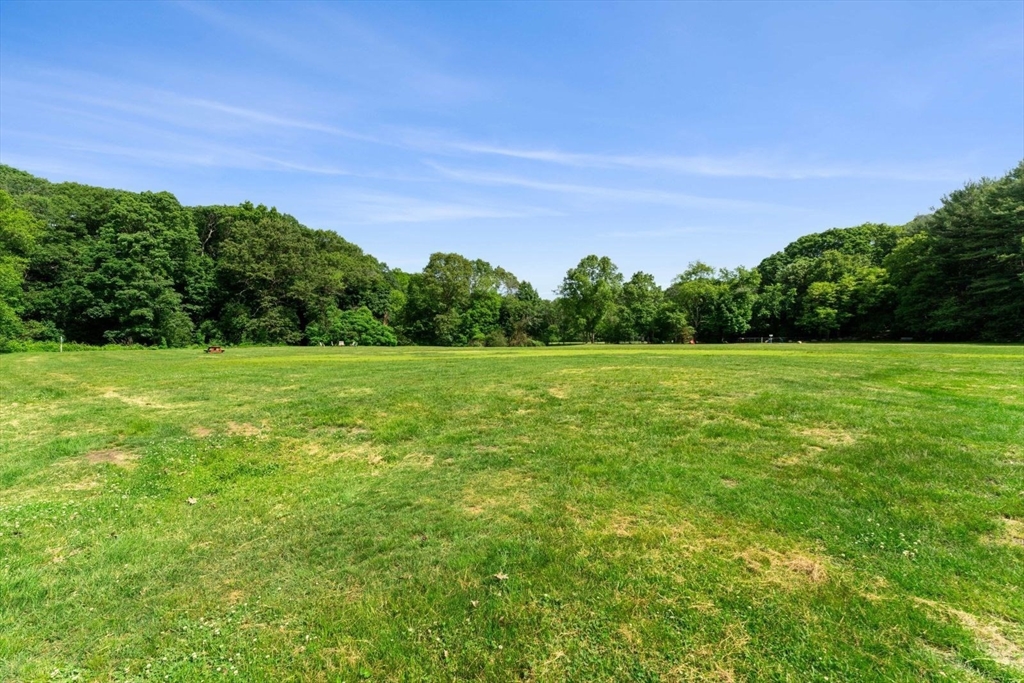 18 Burnside Road Newton, MA 02461 - Photo 24 of 27 a view of a grassy field with trees in the background