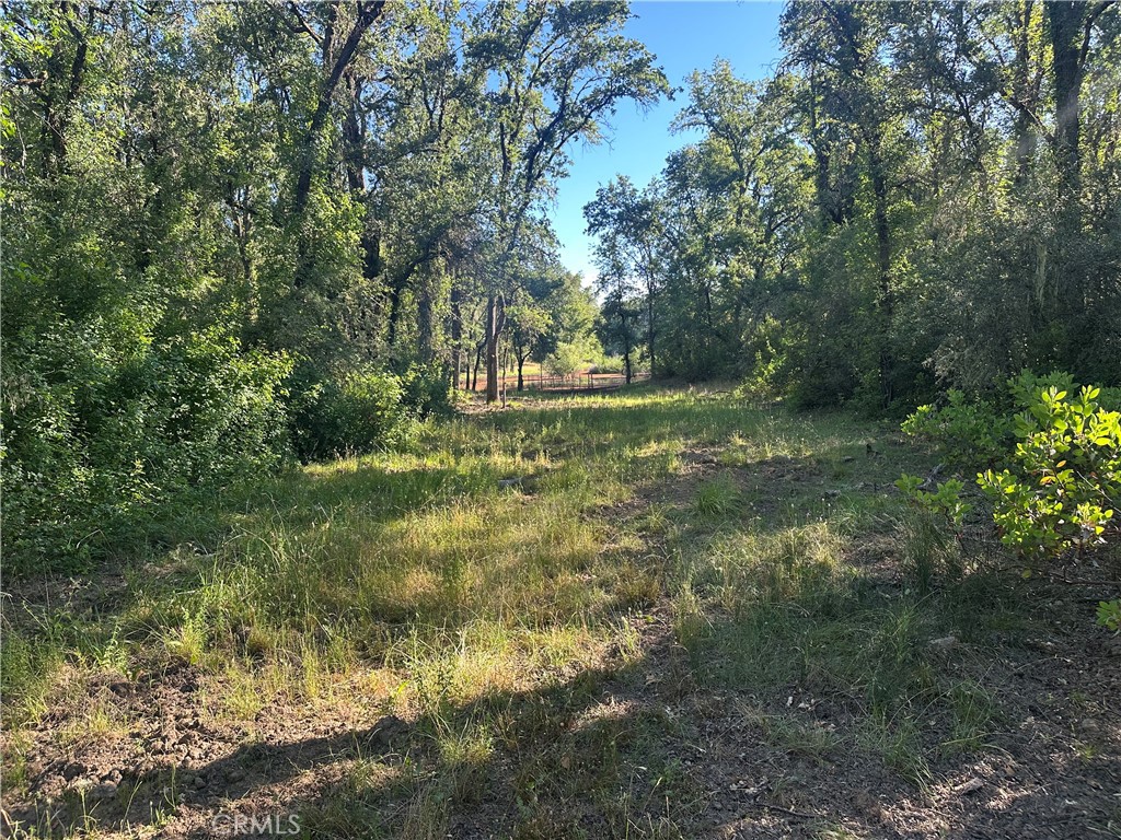 2995 Hill Road Lakeport, CA 95453 - Photo 11 of 12