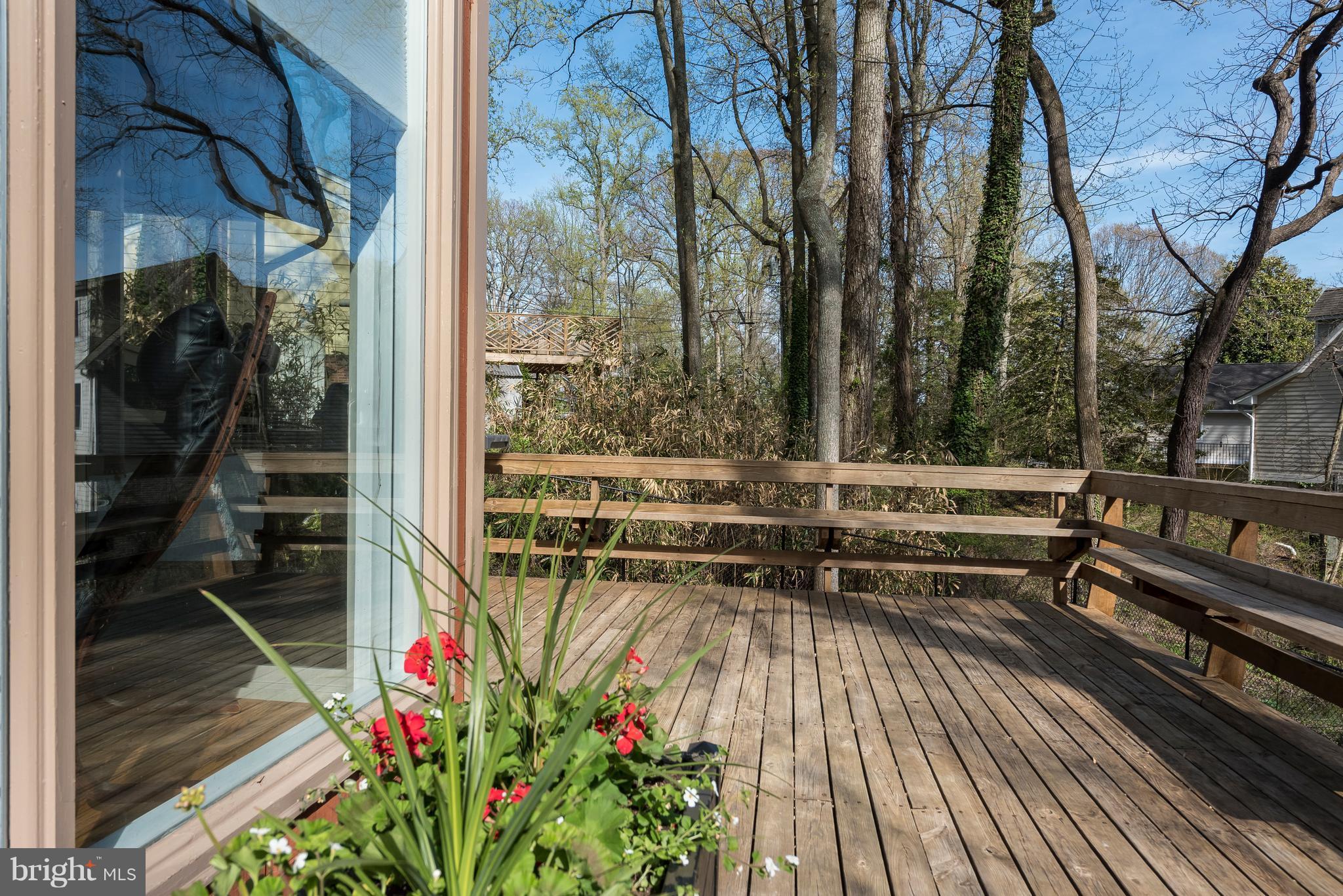 2616 Ogleton Road Annapolis, MD 21403 - Photo 24 of 30 It's like living in a tree house