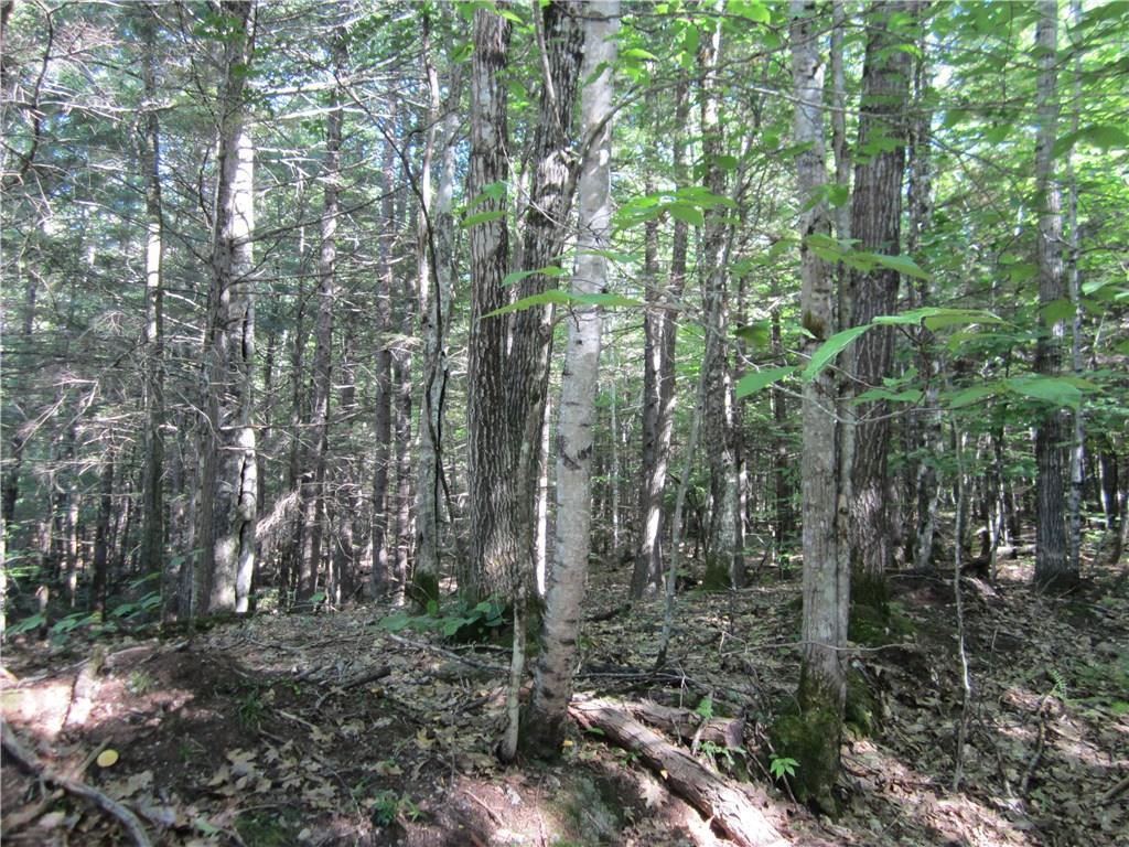Daley Lot Cape Monday Road Harrison, ME 04040 - Photo 3 of 18 Photo