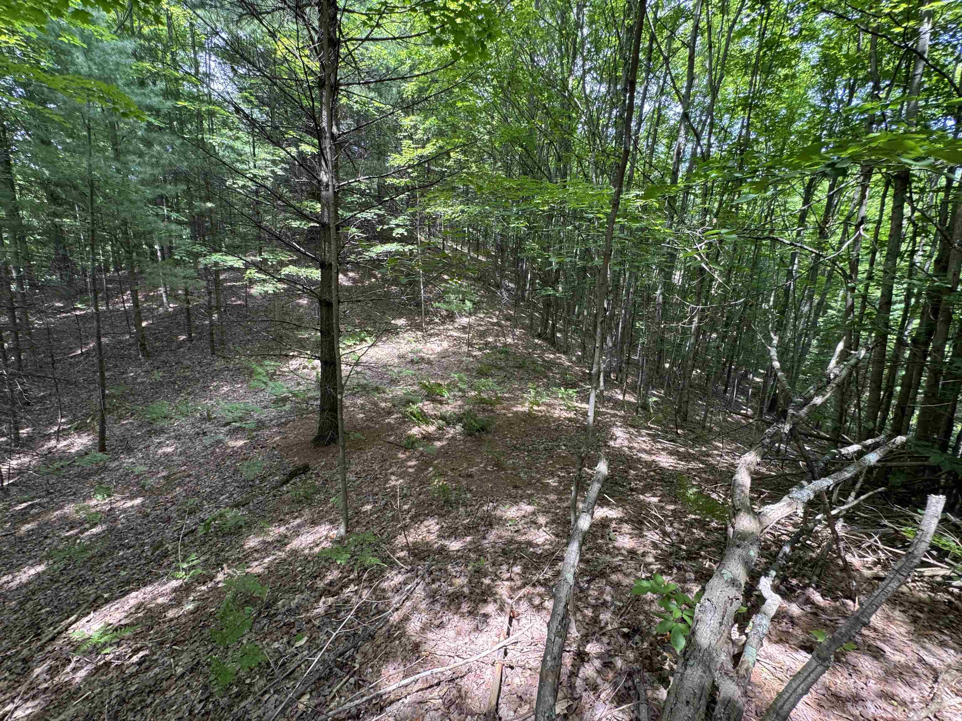 Lot #5 East Bellinger Road, Unit BELLINGER ESTATES LOT: 5 Cedar, MI 49621 - Photo 15 of 20
