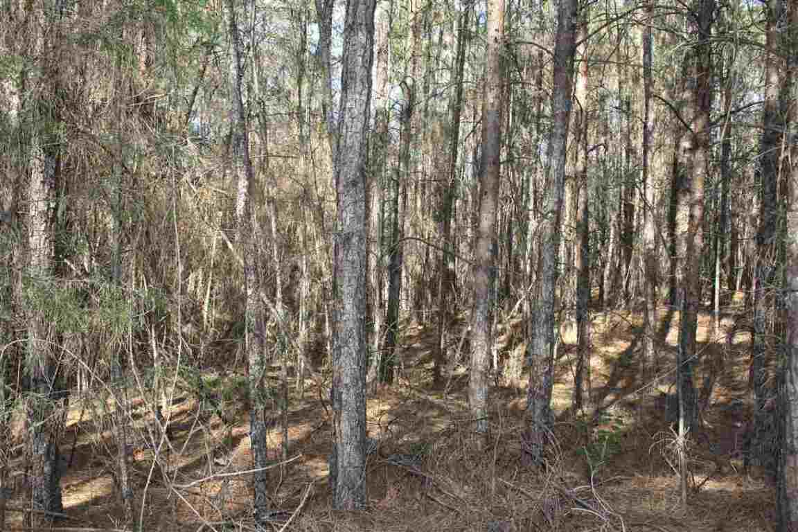 629 State Rd S-39-152 Liberty, SC 29657 - Photo 4 of 18