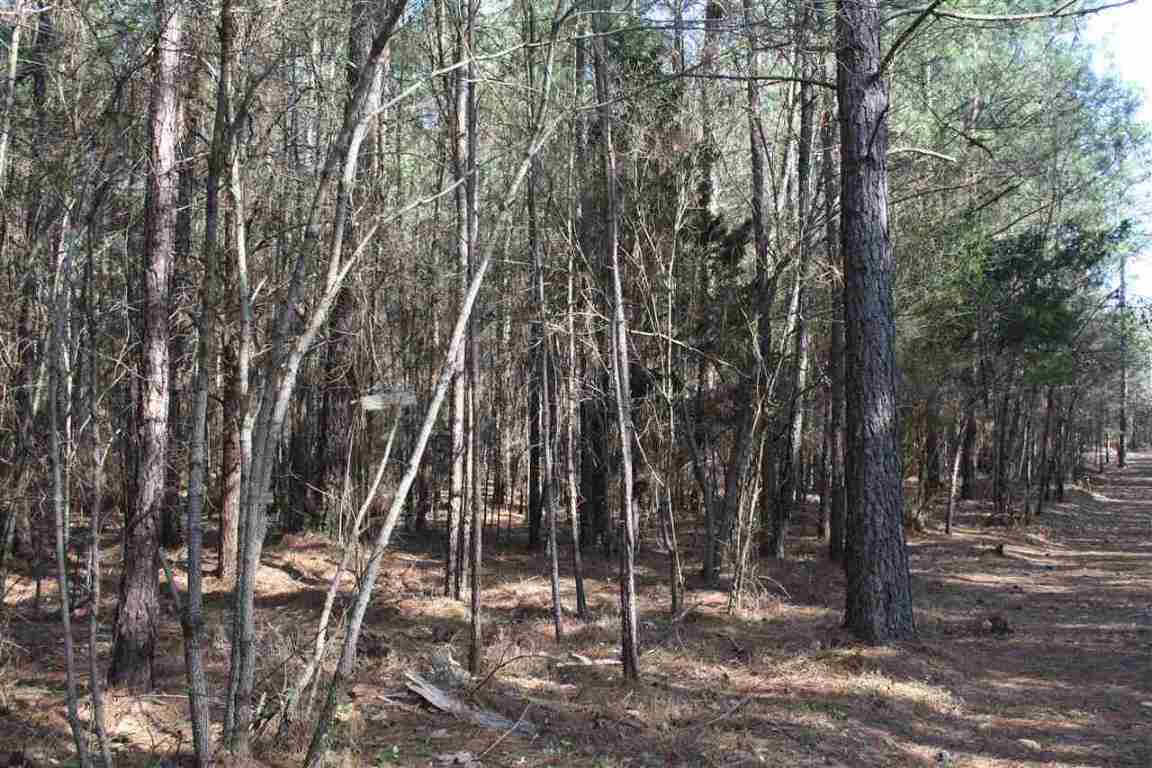 629 State Rd S-39-152 Liberty, SC 29657 - Photo 6 of 18