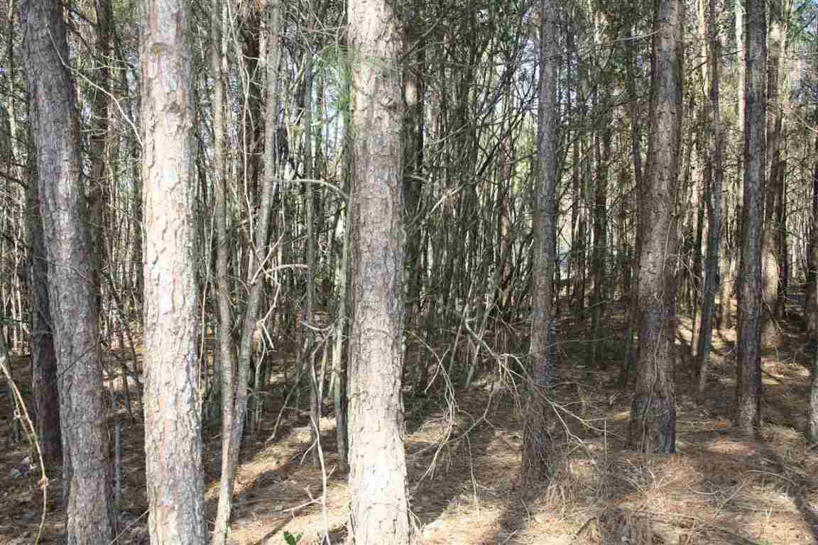629 State Rd S-39-152 Liberty, SC 29657 - Photo 7 of 18
