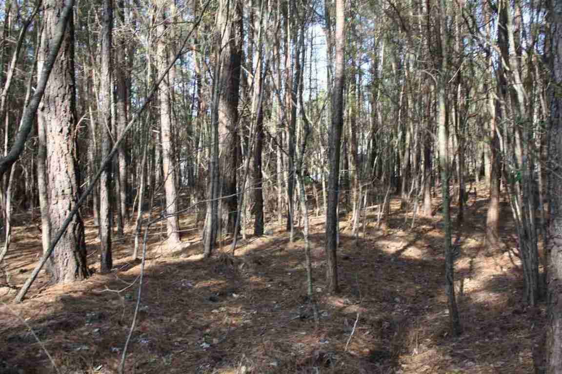 629 State Rd S-39-152 Liberty, SC 29657 - Photo 8 of 18