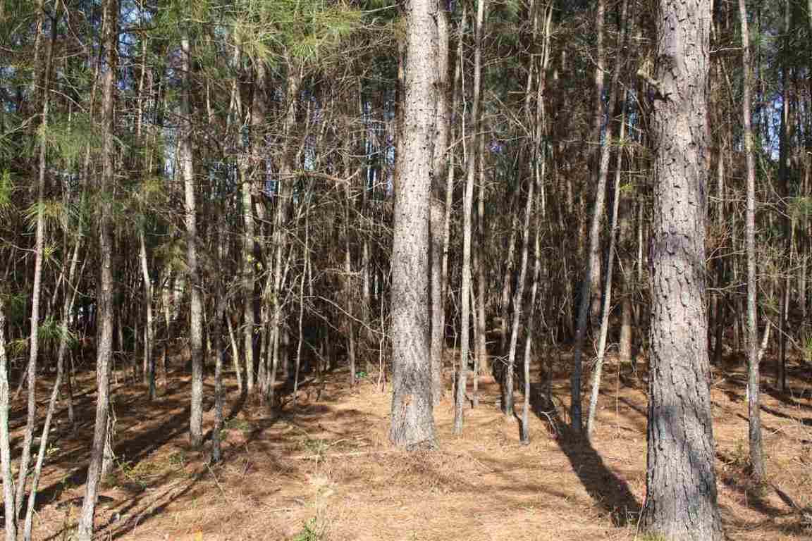 629 State Rd S-39-152 Liberty, SC 29657 - Photo 9 of 18