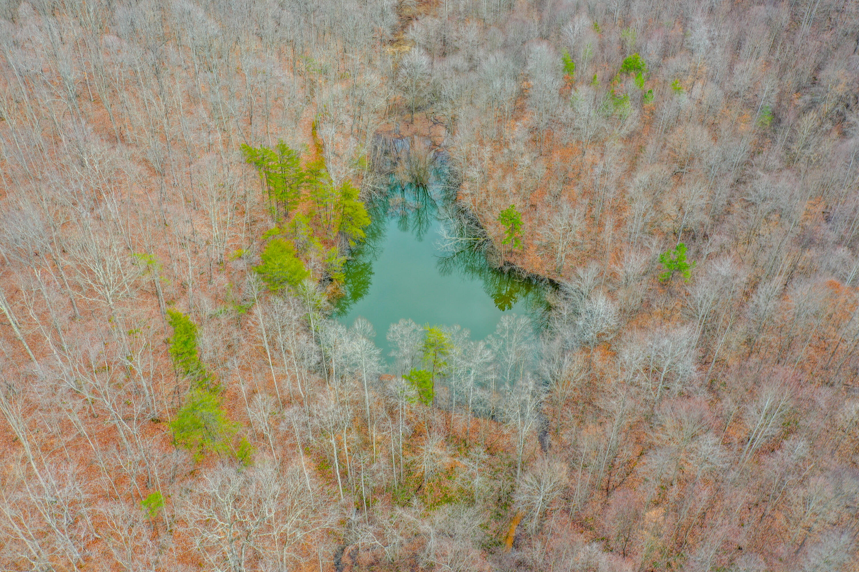 1763 Burnett Road London, KY 40744 - Photo 56 of 92 org_6e293a54e6e8e8ba_1706642026000-HDR