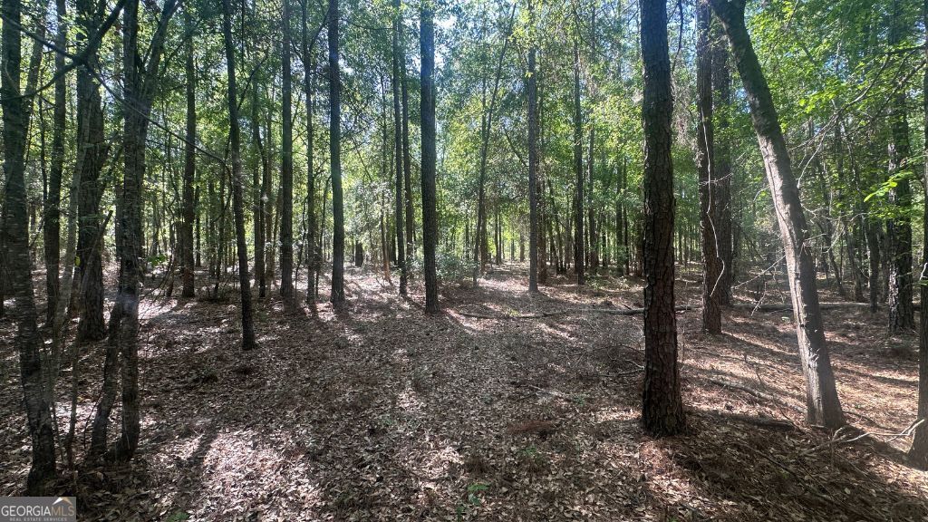 6 Country Club Road, Unit LOT 6 Sylvania, GA 30467 - Photo 23 of 31