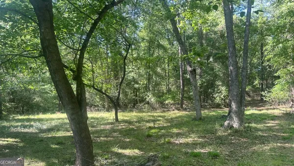 $80,000 | 6 Country Club Road, Unit LOT 6, Sylvania, GA 30467