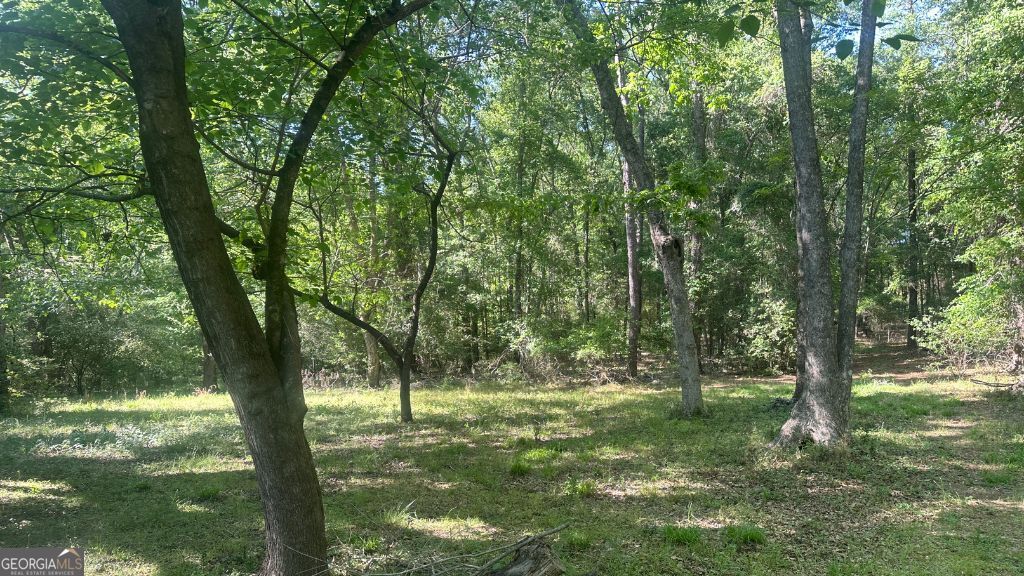 6 Country Club Road, Unit LOT 6 Sylvania, GA 30467 - Photo 28 of 31