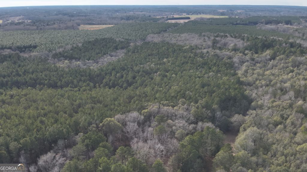 6 Country Club Road, Unit LOT 6 Sylvania, GA 30467 - Photo 7 of 31