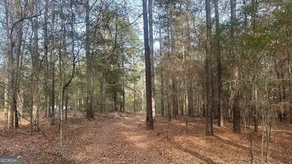 $80,000 | 6 Country Club Road, Unit LOT 6, Sylvania, GA 30467