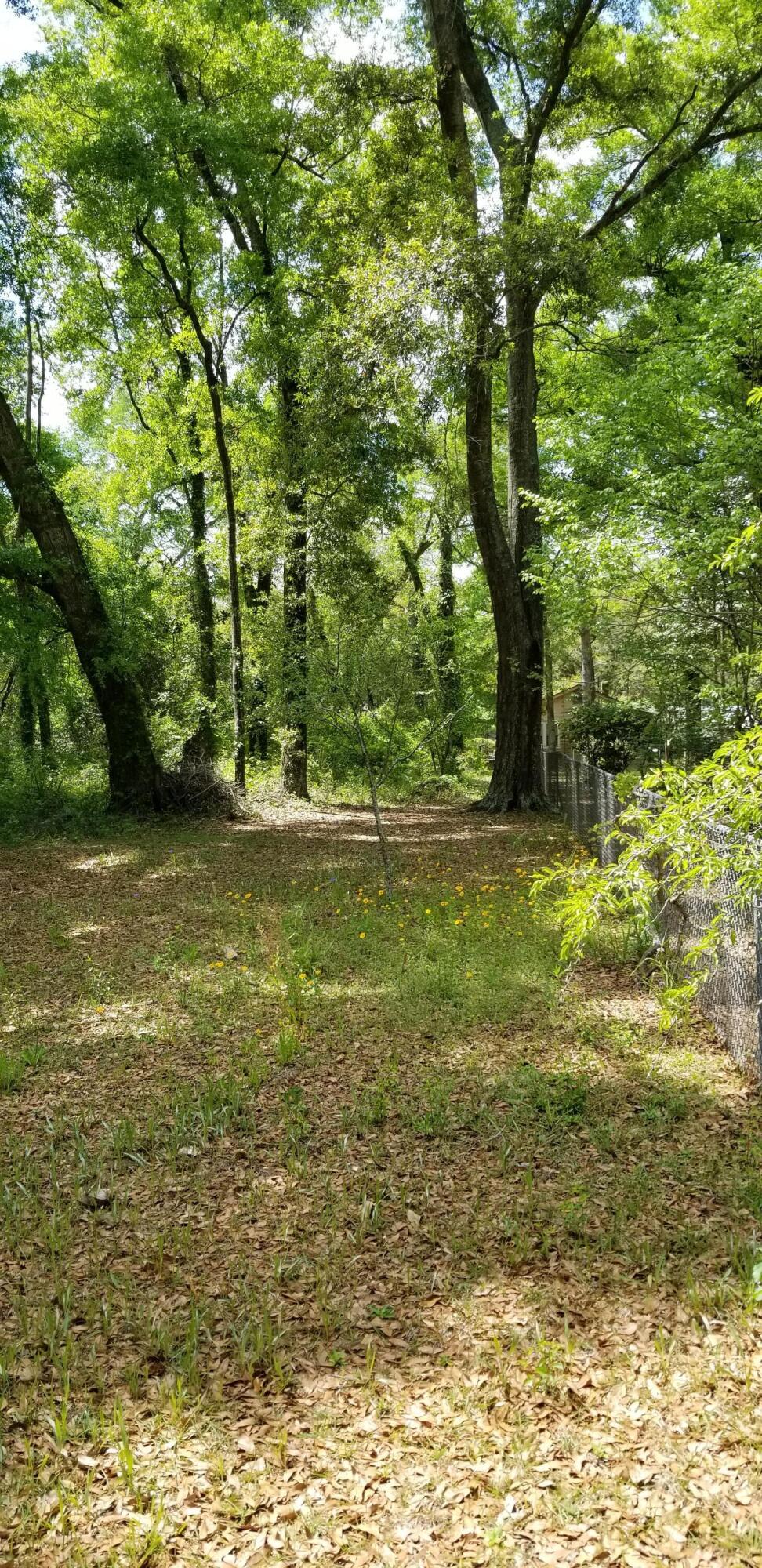 0 Rabb Walterboro, SC 29488 - Photo 6 of 8 20250409_135714