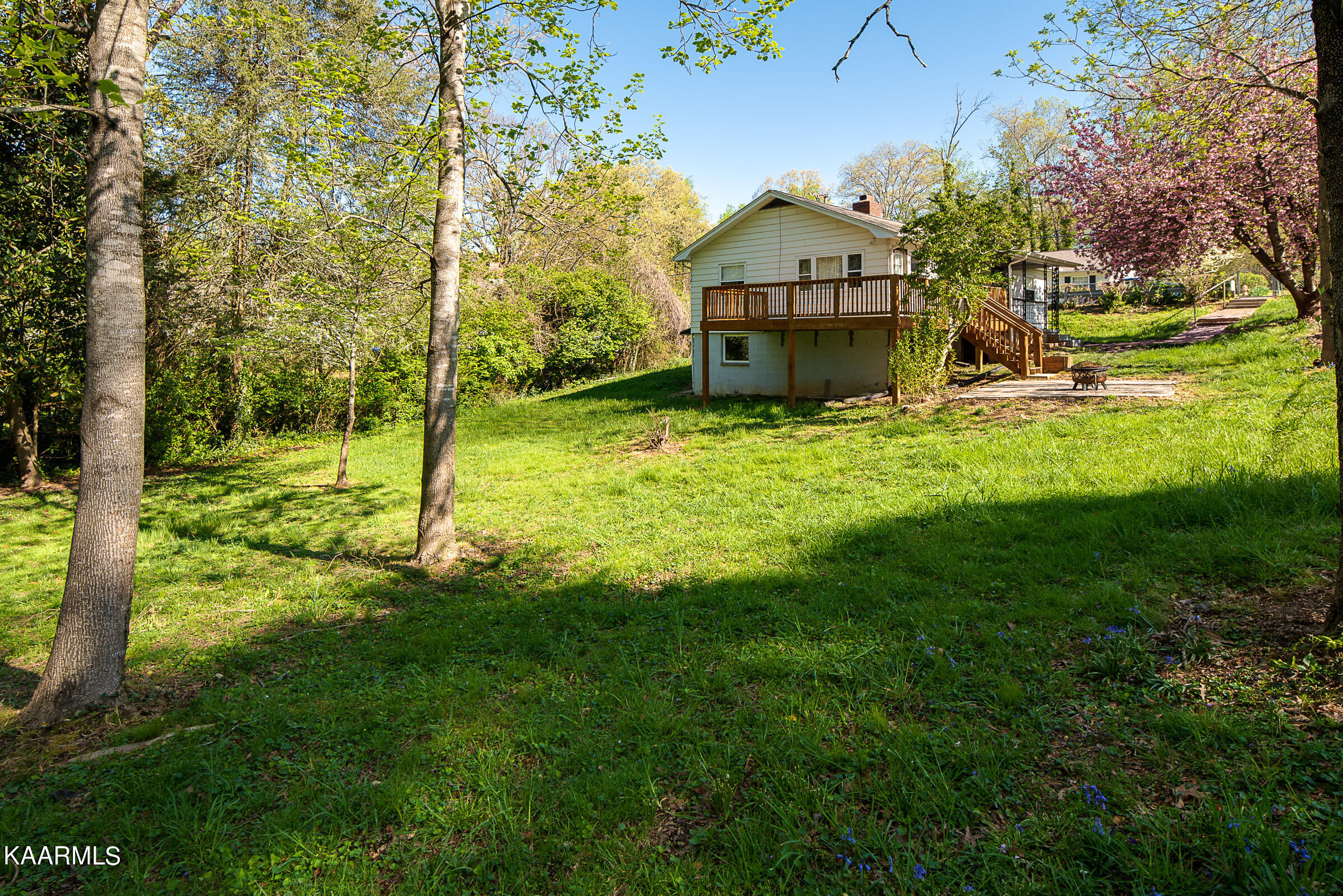 119 Georgia Avenue Oak Ridge, TN 37830 - Photo 18 of 24 Magnificent Yard